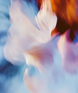 Abstract blurred image with soft blue, white, purple, and orange hues blending in motion.