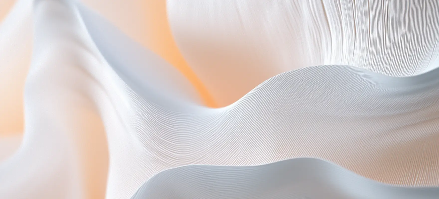 The Role of Branding in Modern Business Success